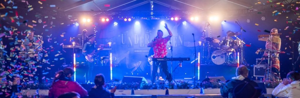 Under Bøgen - en hyldest til Gnags